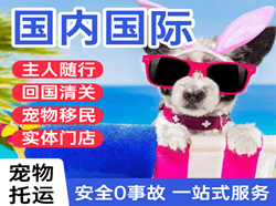 滋润机场邮寄国际宠物托运 【国